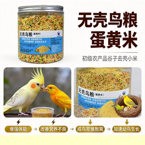 无壳蛋小米 幼鸟与玉鸟金青的营养主食，你真的选对了吗？