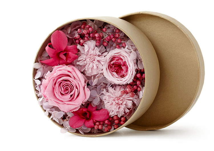 县司法局召开迎接国务院脱贫攻坚督查巡查工作布置会‘kaiyun开云网页版’