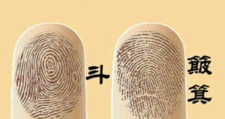 美研制埃博拉和马尔堡病毒药物获进展‘kaiyun开云网页版’