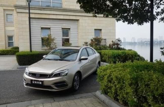 俄罗斯林业面临非法采伐和缺乏有效造林两大挑战：kaiyun开云网页版