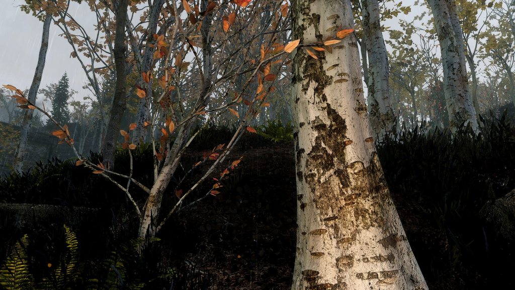 kaiyun开云官方在线登录