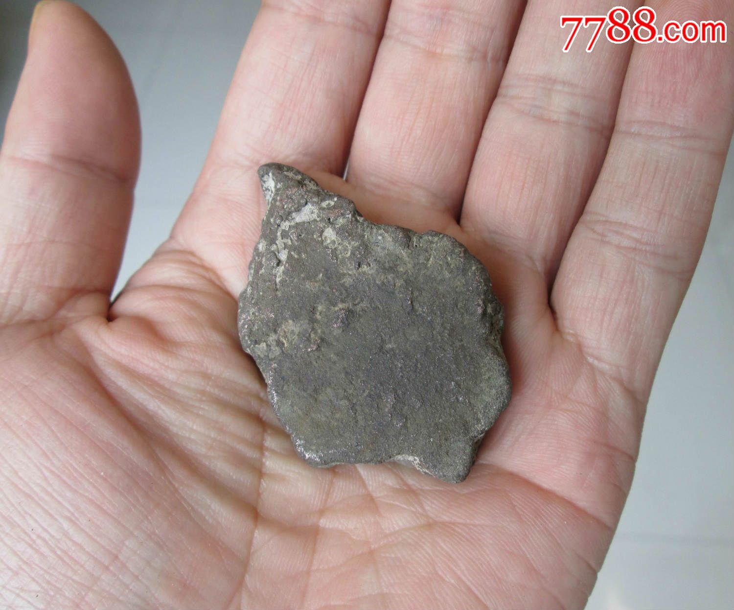 kaiyun开云网页版：顺德木业商会：橡胶木市场畸形 不变革无以复兴