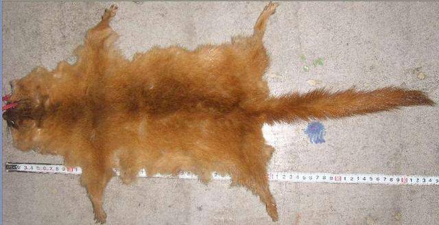 kaiyun开云网页版