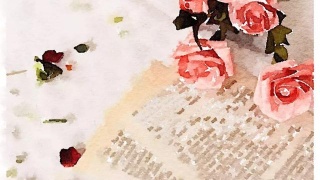 中国十大板材品牌百的宝：卧室放衣柜不吃灰也不占地的是这样子的-kaiyun网页登录入口