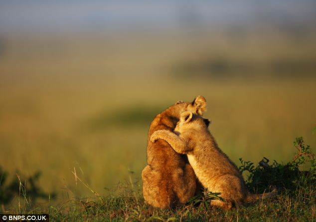 kaiyun开云官方在线登录