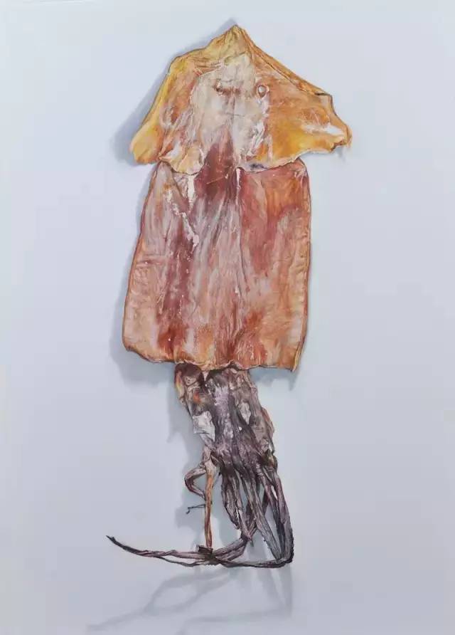 kaiyun开云网页版