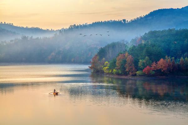 预计2019年美国硬木地板市场需求年增长率将超过6%：kaiyun开云官方在线登录