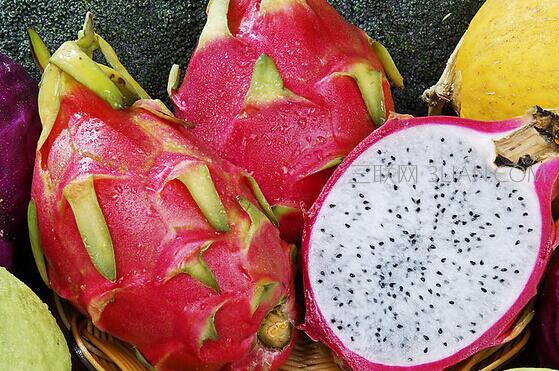 kaiyun网页登录入口