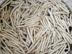 kaiyun开云网页版