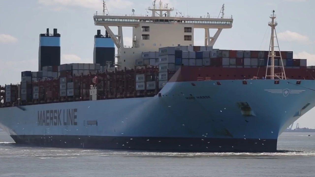 潍坊胶合板出口货值达2.92亿美元【kaiyun网页登录入口】