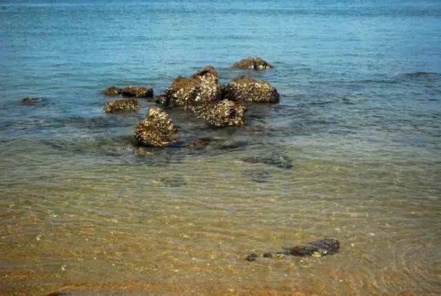 回首2010年度  红木家具几多风雨路“kaiyun开云网页版”