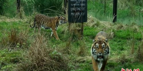 kaiyun开云网页版_江苏省人大举行医药卫生 体制改革形势报告会