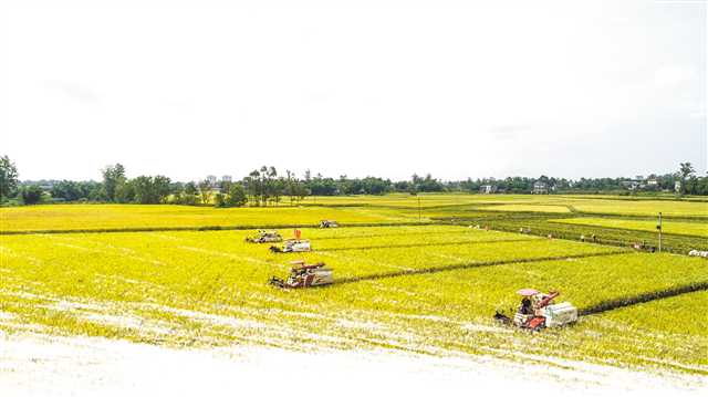 kaiyun开云官方在线登录