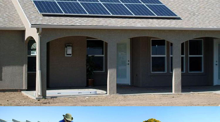 氨基酸片 提高免疫力-kaiyun网页登录入口