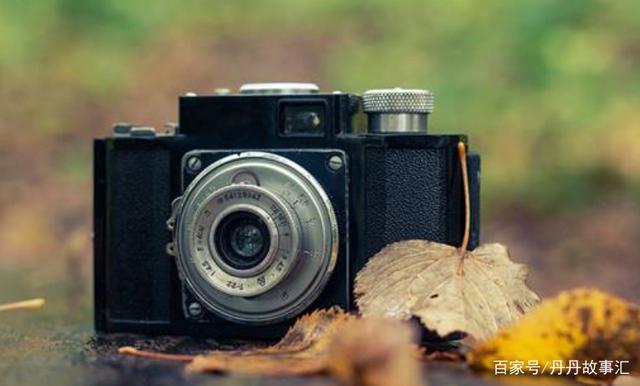 ‘kaiyun开云网页版’印度进口原料国礼辣木叶片 预防各种疾病