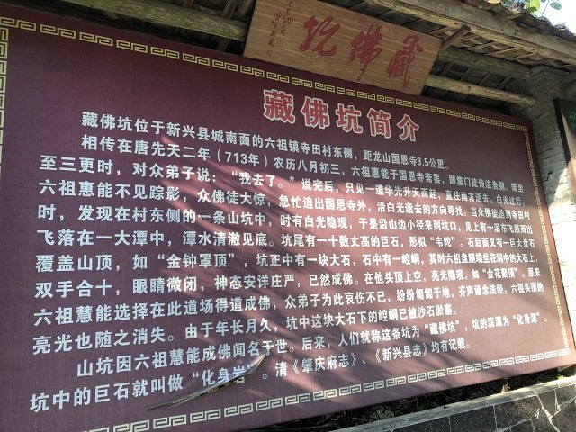 kaiyun开云网页版-美国原装进口威氏的氨糖鲨鱼软骨片 改善关节炎(图2) kaiyun网页登录入口