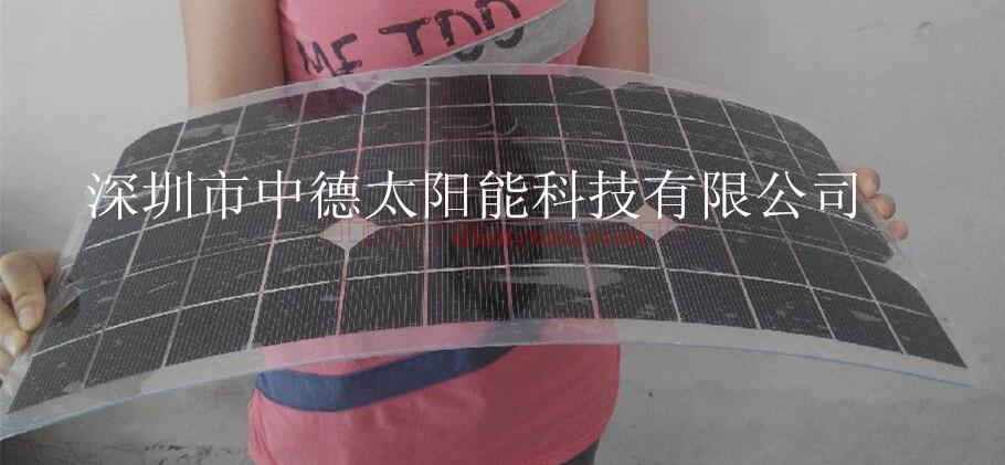 广西钟山“科技扶贫鸡苗”进农村 贫困户“新年增收”喜眉梢|kaiyun网页登录入口