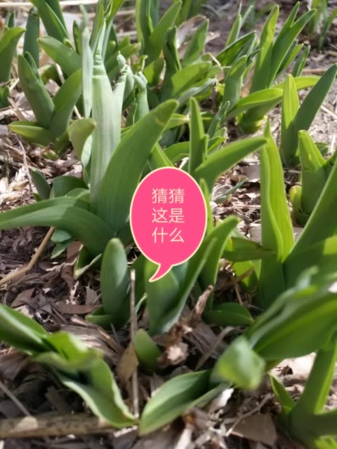 家中红木家具为何总是发出爆裂声?:kaiyun开云官方在线登录