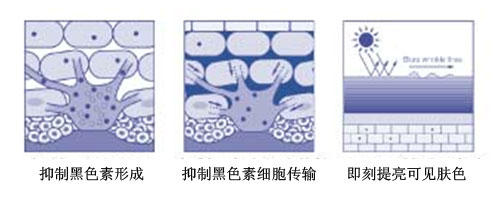 今天买明天装 精材艺匠全屋易装+净醛系列产品介绍-kaiyun开云网页版(图2) kaiyun网页登录入口